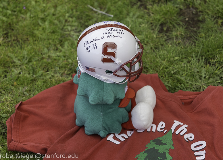 stanford mini-helmet